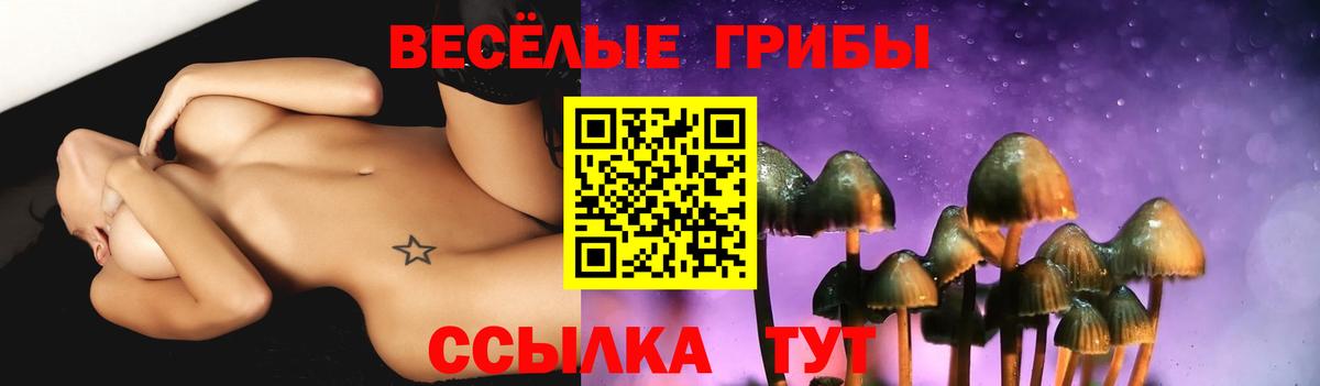 Галлюциногенные грибы Psilocybine cubensis  Галлюциногенные грибы Psilocybine cubensis  Вход с VPN  Озёры 